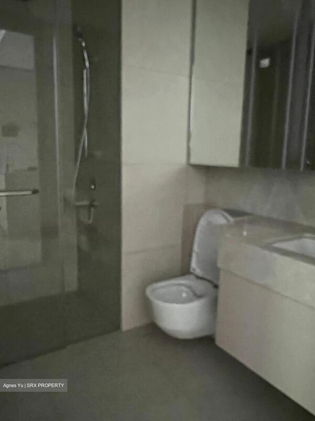 FORETT AT BUKIT TIMAH (D21), Apartment #539793331